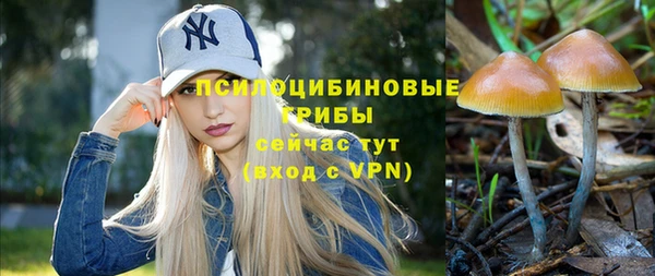 крисы Волоколамск