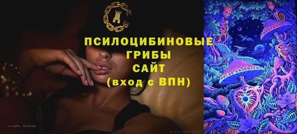 прущий лед Бронницы