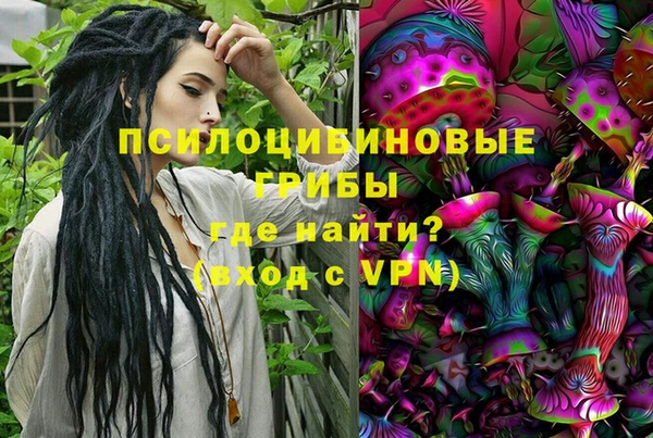 крисы Волоколамск