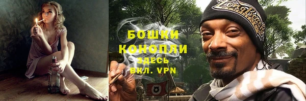 ПСИЛОЦИБИНОВЫЕ ГРИБЫ Волосово