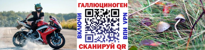 Галлюциногенные грибы Cubensis  hydra ТОР  Калач-на-Дону  купить закладку 